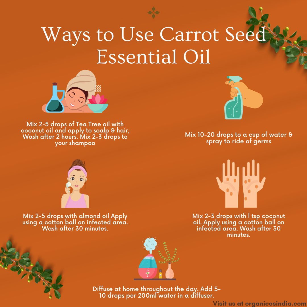 Carrot seed Essential Oil 15 ml
