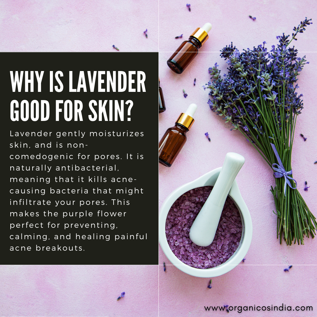 Lavender Face Cleanser