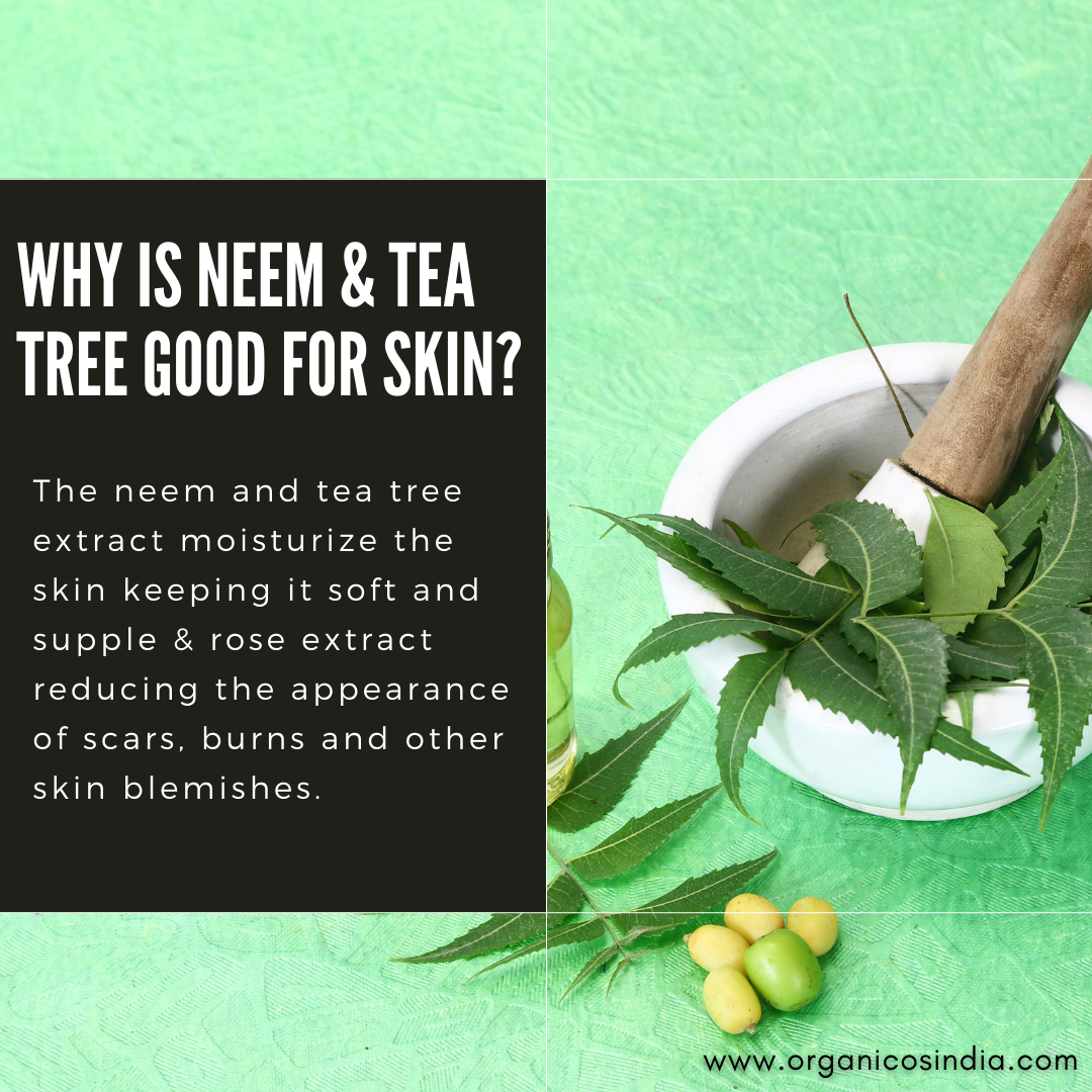 Neem & Tea Tree Face Cleanser 50 ML