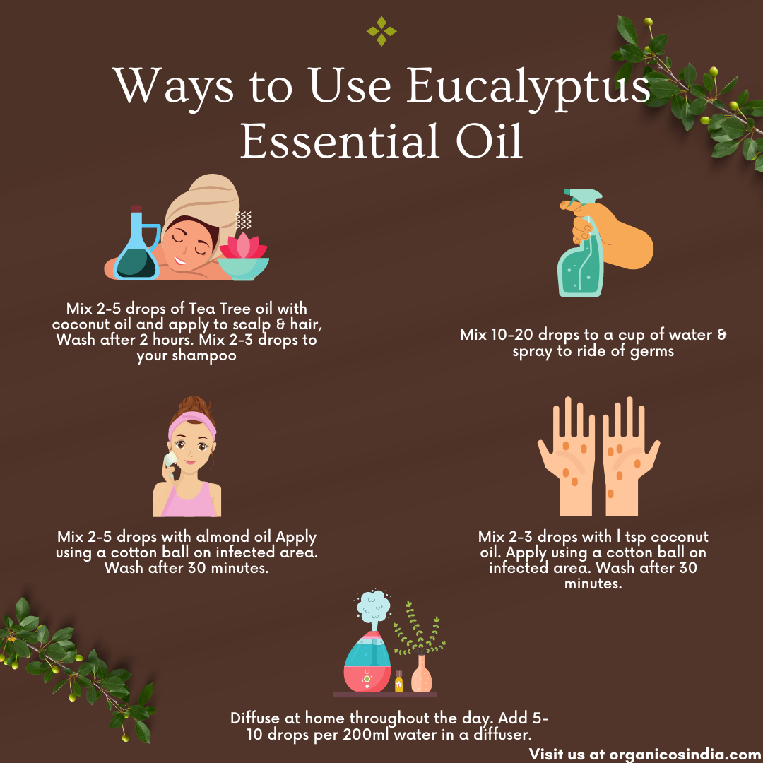 Eucalyptus Essential Oil 15 ml